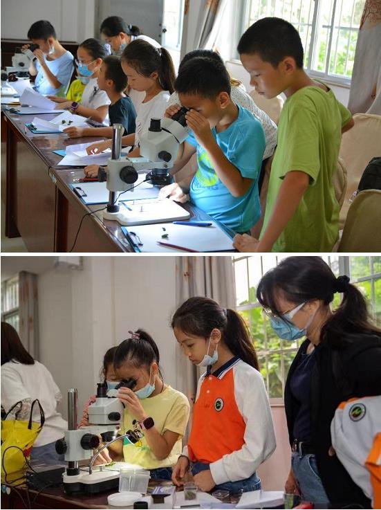孩子们用显微镜观察苔藓