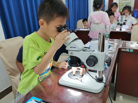 3.显微镜观察苔藓