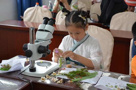 3.制作微景生态瓶