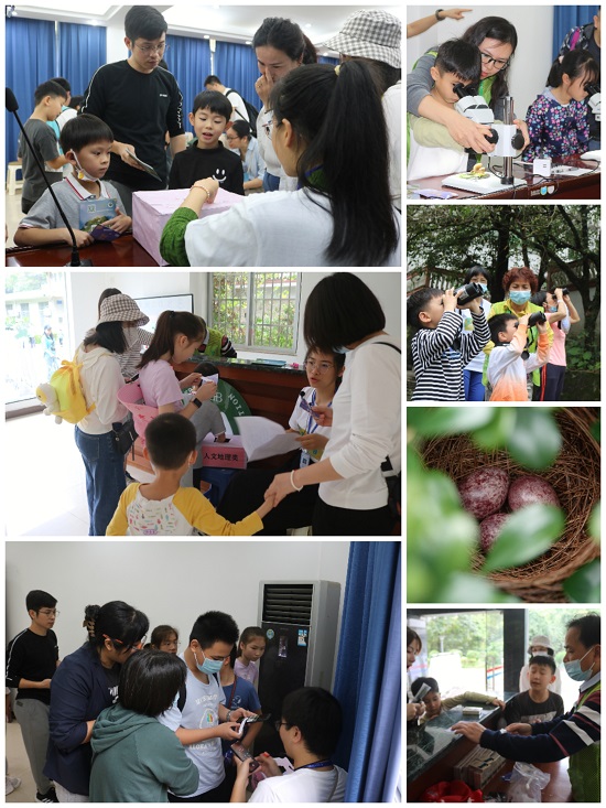 4.精彩纷呈的活动现场