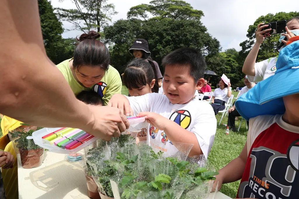 4.探寻植物奥秘