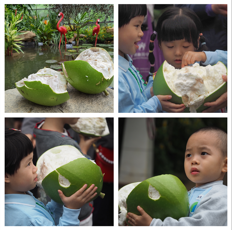 2.挂在树上的西瓜