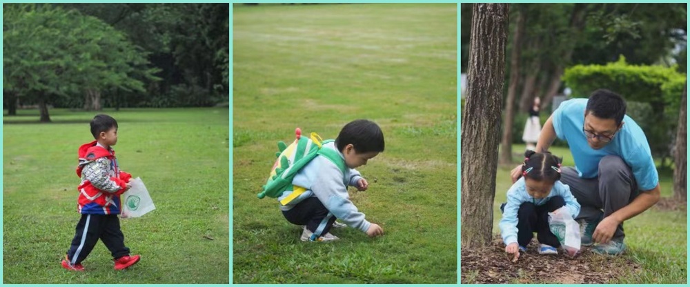 3.寻找秋天的落叶