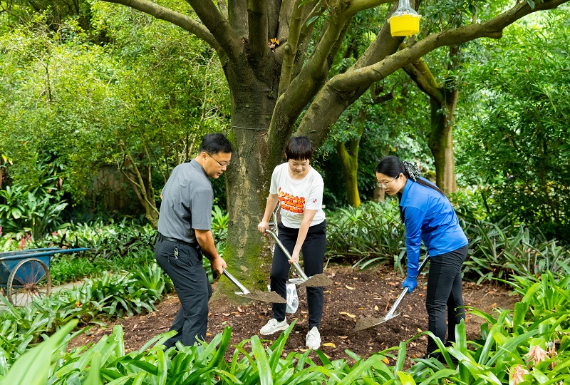1.为认养植物松土、施肥