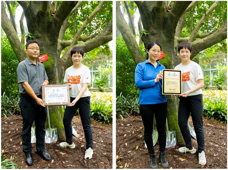 3.颁发认养证书