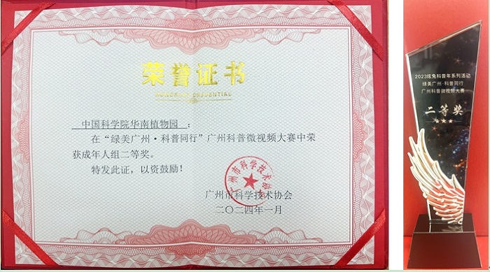 2.获奖证书和奖杯1