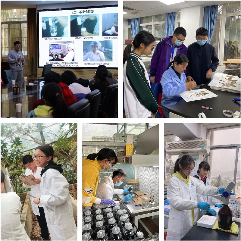 3.营期学习日常