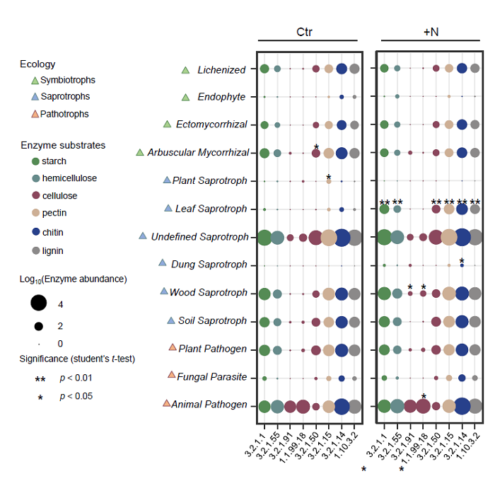 图1. 氮沉降下不同真菌功能群及其对不同植物源碳底物降解潜力的变化