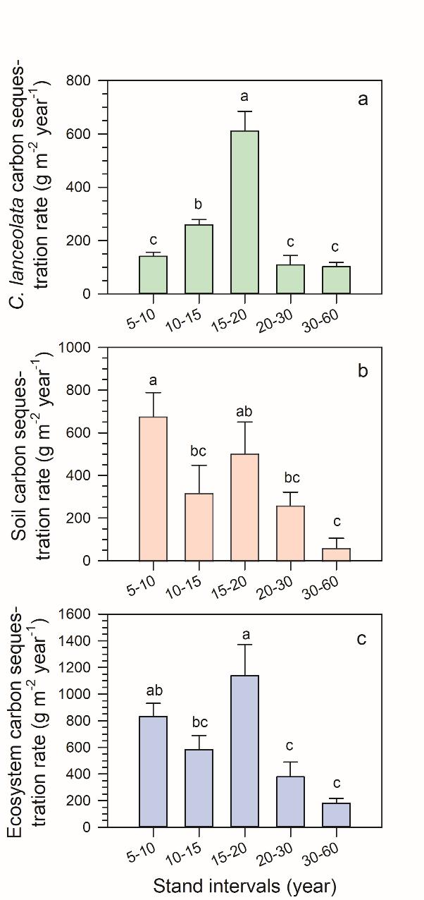 图1. 不同林龄间隔乔木层、土壤层和杉木林生态系统固碳速率