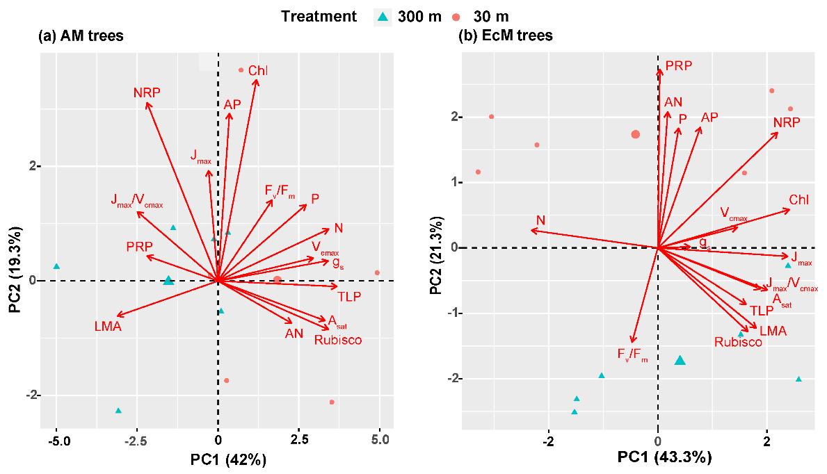 图2. 内生和外生菌根真菌植物主成分分析结果