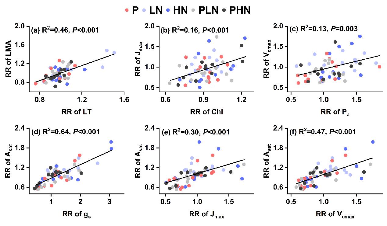 图2. 相关分析结果