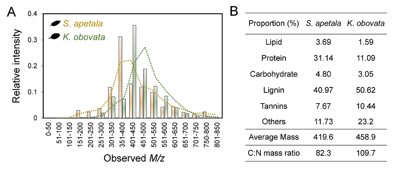 图2. 基于FT-ICR-MS技术解析无瓣海桑和秋茄叶片DOM的特征。叶片DOM的分子大小分布(A)和性状特征(B)