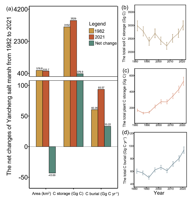 图2. 1982-2021年间盐城盐沼湿地蓝碳碳汇功能的变化