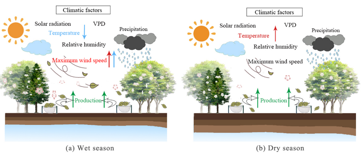 图1. 不同季节影响凋落物产量的主导气候因子