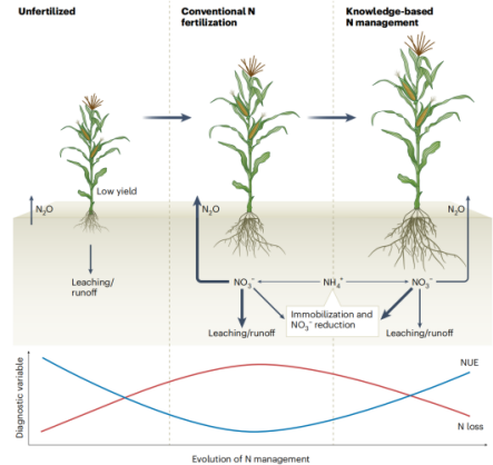 图1. 氮素管理措施的发展历程。基于理论知识和实践经验的氮肥管理将有效促进农田氮固持、提升氮素利用效率、降低土壤氮损失。