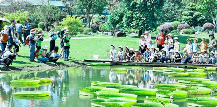 华南国家植物园的“王莲叶载萌娃”活动