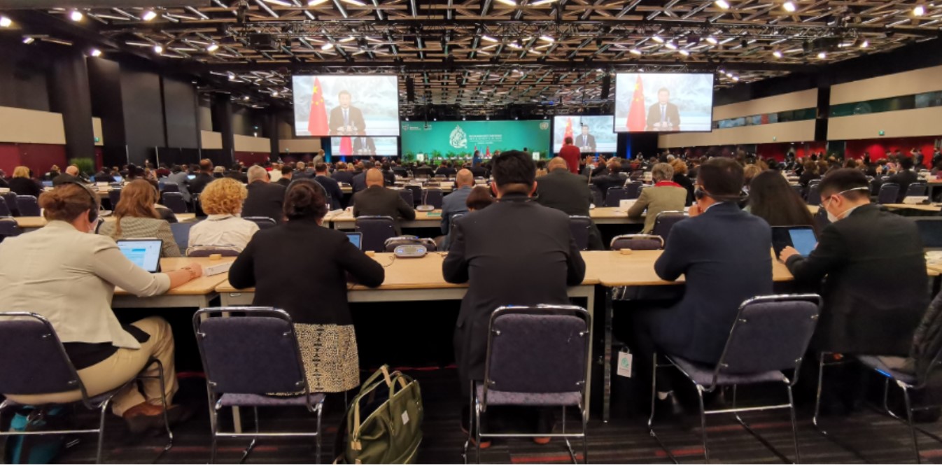 2.习近平总书记视频致辞