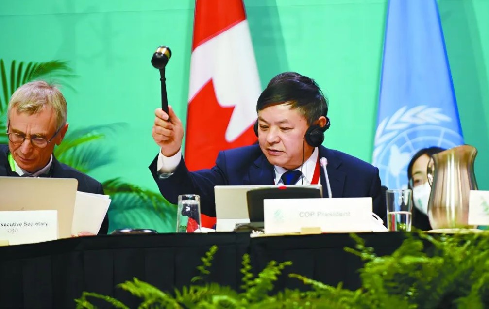 3.“昆明—蒙特利尔全球生物多样性框架”在满场的喝彩声中达成