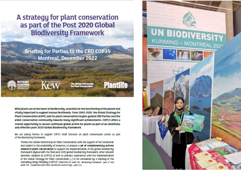 7.文香英宣传GSPC和中国国家植物园