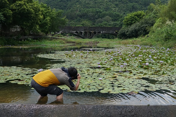 2.广东省湿地水生植物资源科学考察试验