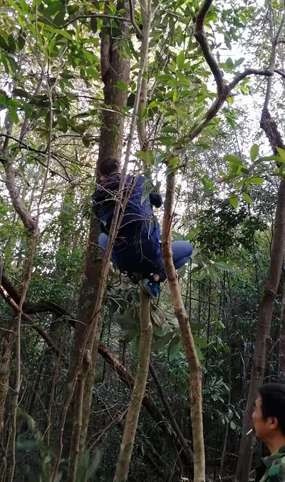 3.北江流域上游植物与植被多样性科学考察试验