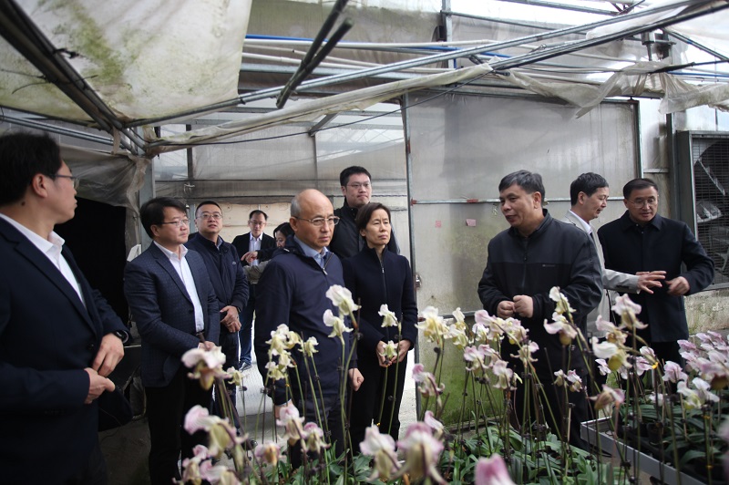 5.张亚平一行调研兰花繁育基地