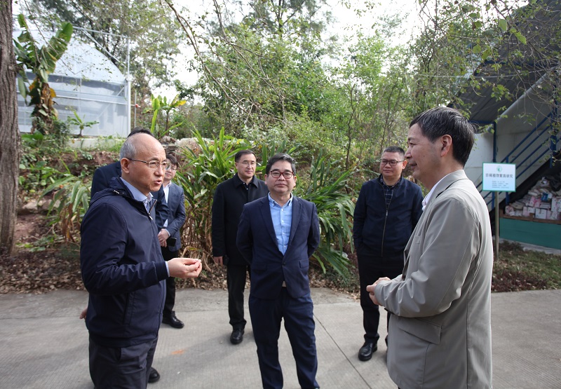 6.调研檀香繁育基地